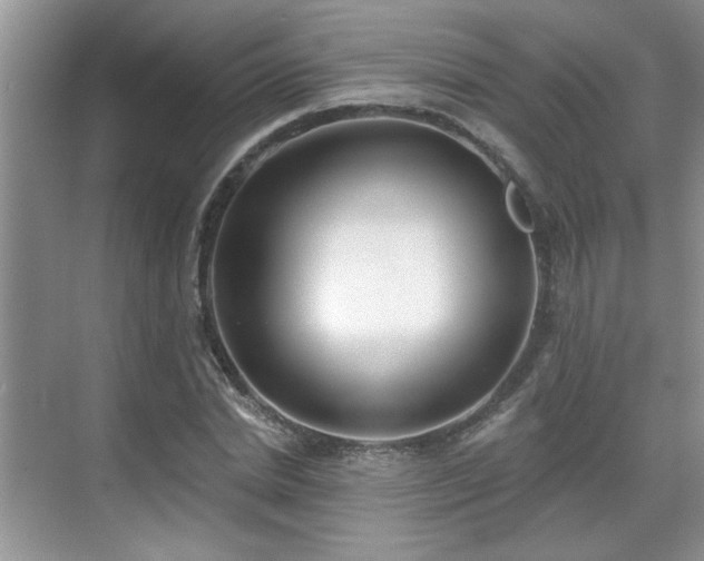 X0000070360830200606121207