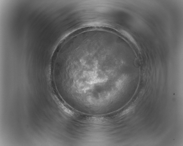 X0000070360831200606121207