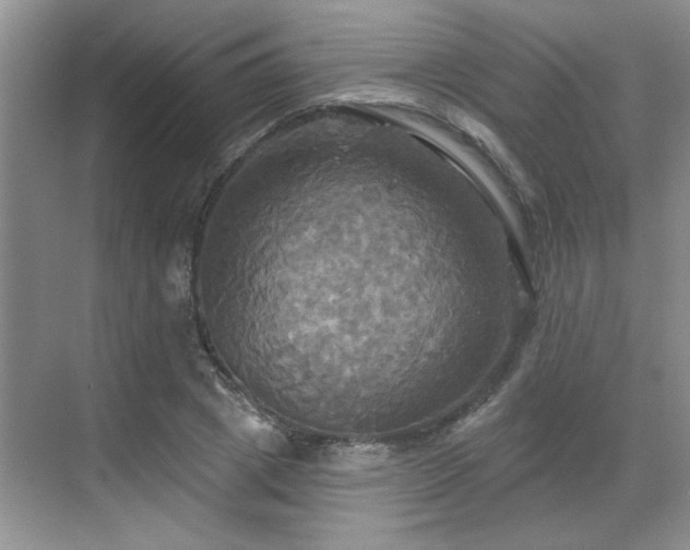 X0000070360833200606121207