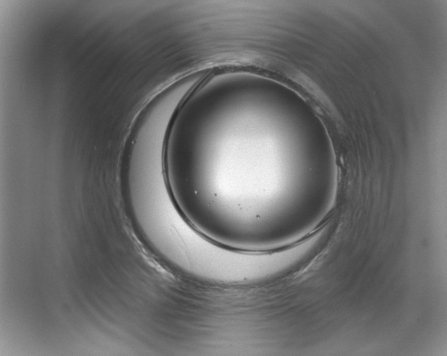 X0000070360834200606121207