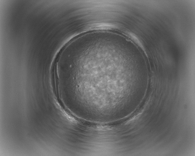 X0000070360835200606121207