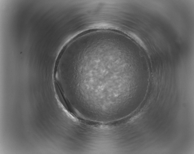 X0000070360839200606121207