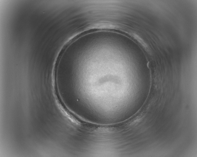 X0000070360840200606121207