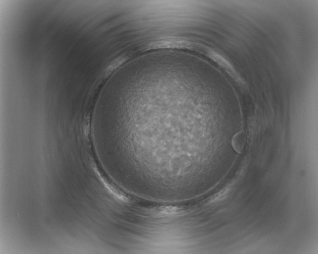 X0000070360841200606121207