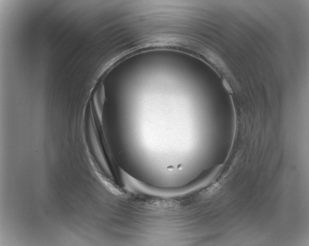 X0000070360842200606121207