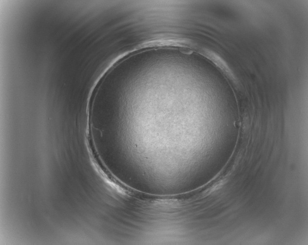 X0000070360844200606121207