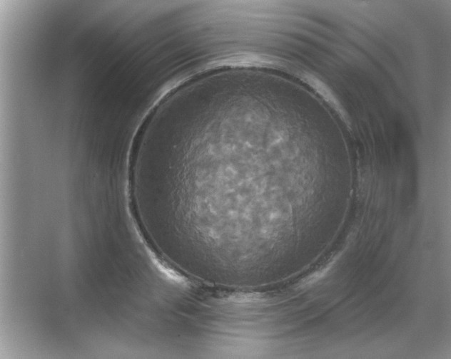 X0000070360845200606121207