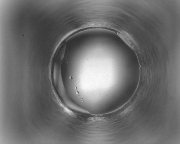 X0000070360846200606121207