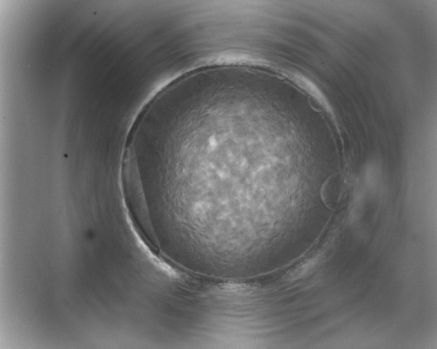 X0000070360847200606121207