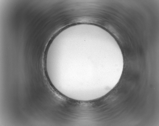 X0000070360848200606121207