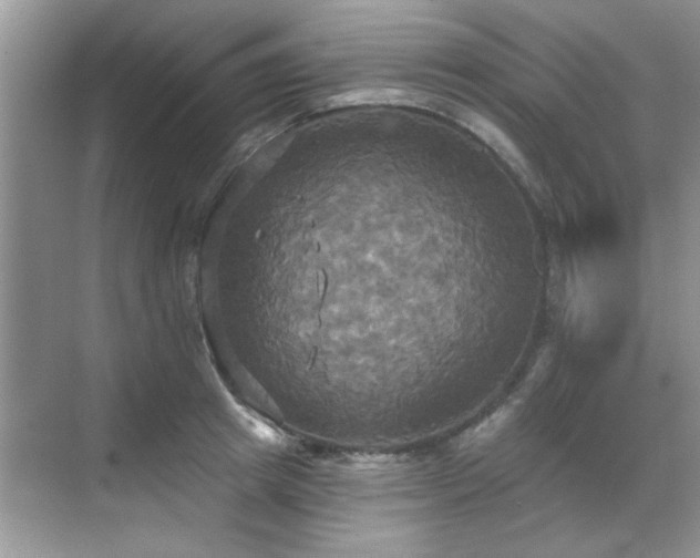 X0000070360849200606121207