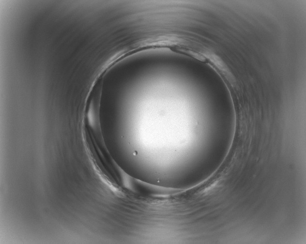 X0000070360850200606121207