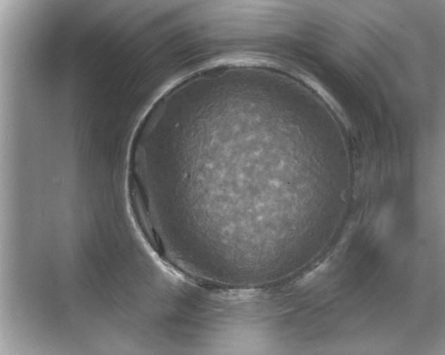 X0000070360853200606121207