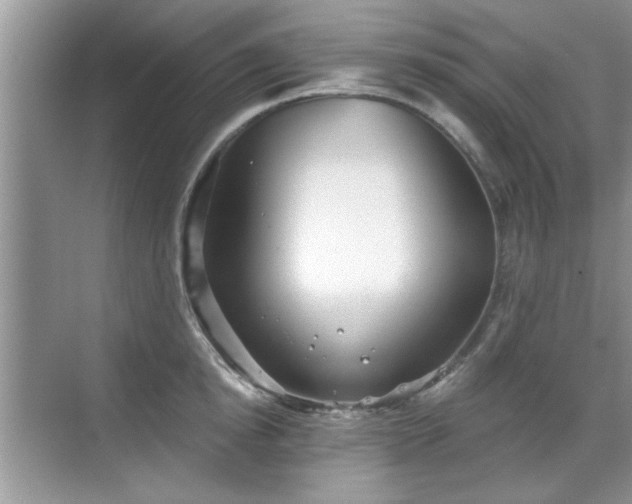 X0000070360854200606121207