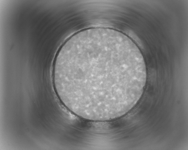 X0000070360856200606121207