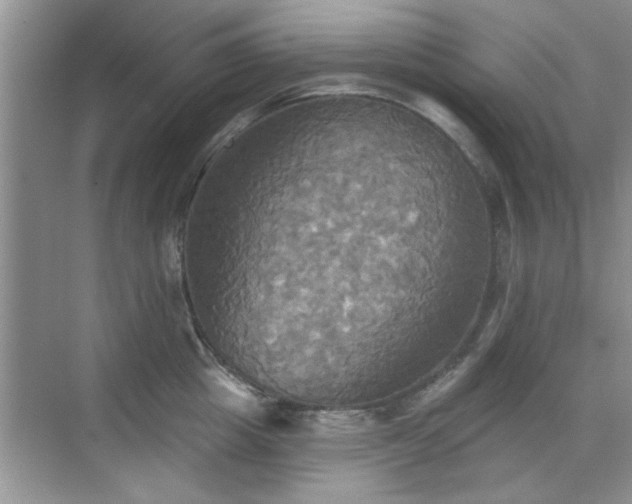 X0000070360857200606121207