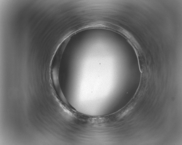 X0000070360858200606121207