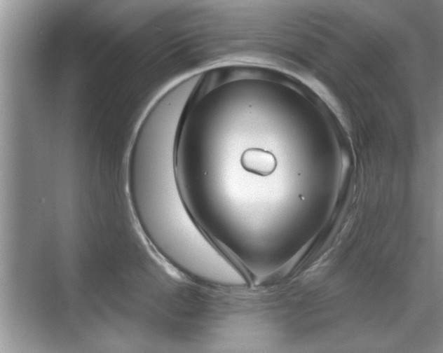 X0000070360862200606121207