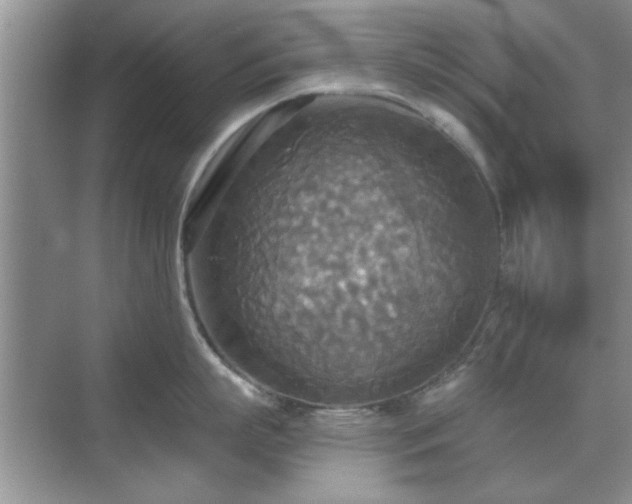 X0000070360863200606121207