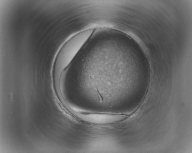 X0000070360864200606121207