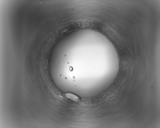 X0000070360865200606121207