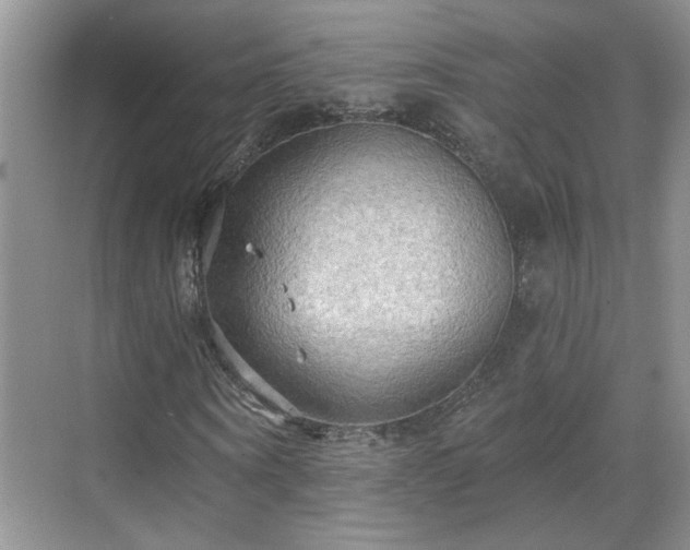 X0000070360866200606121207