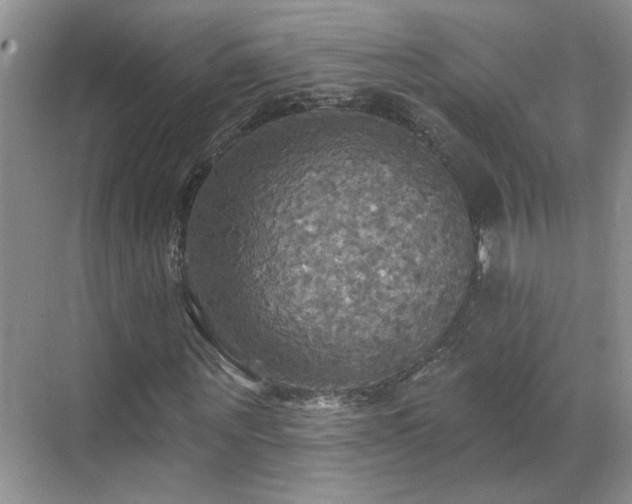 X0000070360867200606121207