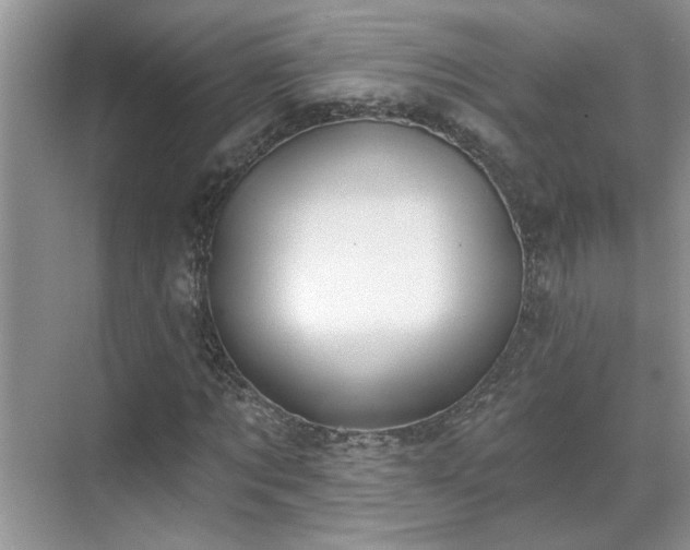 X0000070360869200606121206