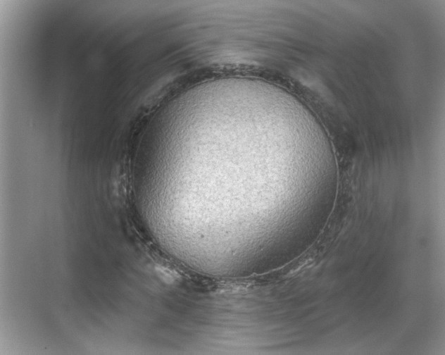 X0000070360870200606121206