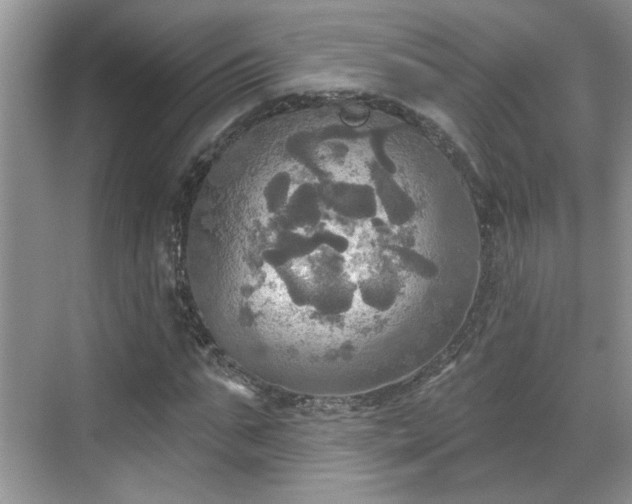 X0000070360871200606121206