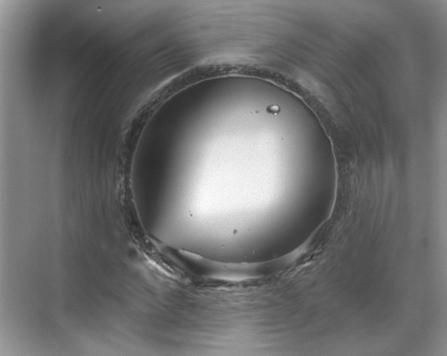 X0000070360872200606121206