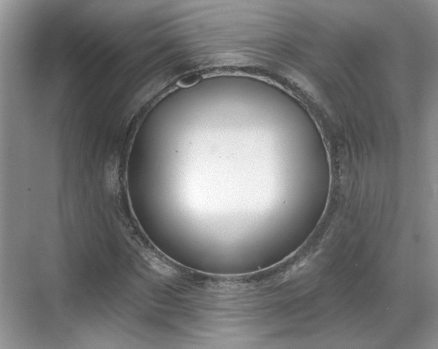 X0000070360873200606121206