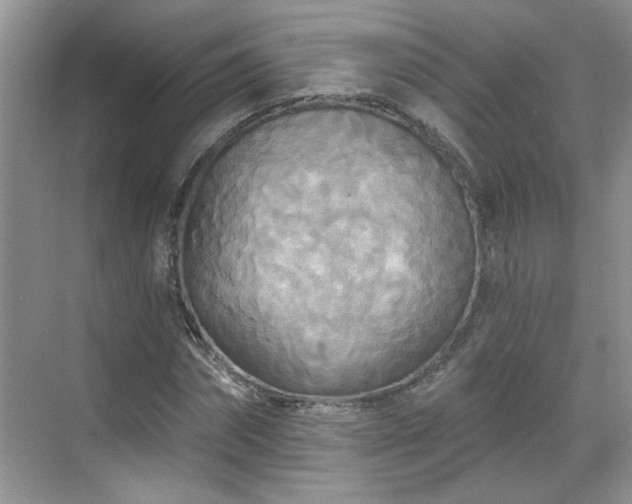 X0000070360874200606121206