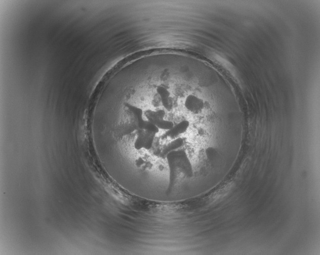 X0000070360875200606121206