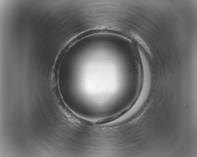 X0000070360876200606121206