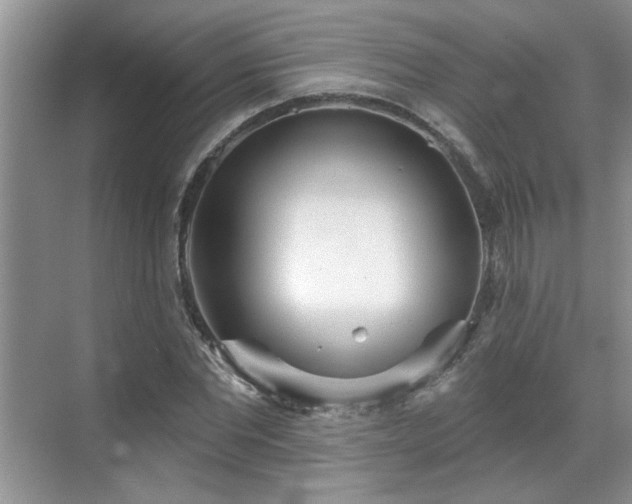 X0000070360877200606121206