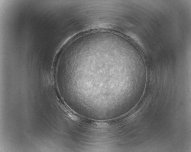 X0000070360878200606121206