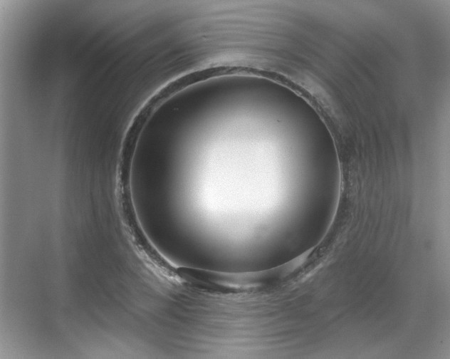 X0000070360880200606121206