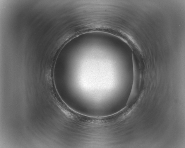 X0000070360881200606121206