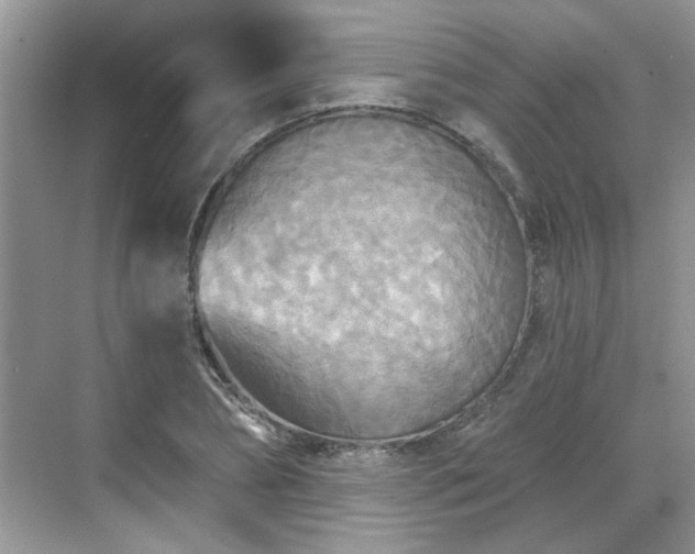 X0000070360882200606121206