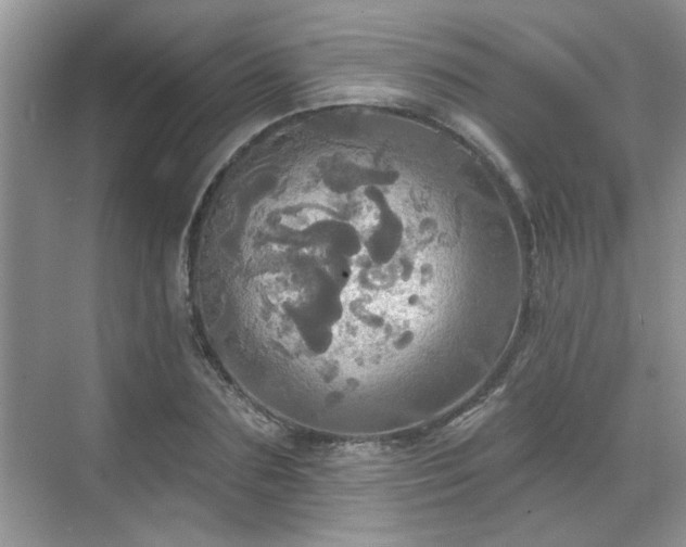 X0000070360883200606121206