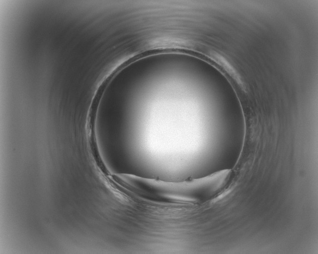 X0000070360885200606121206