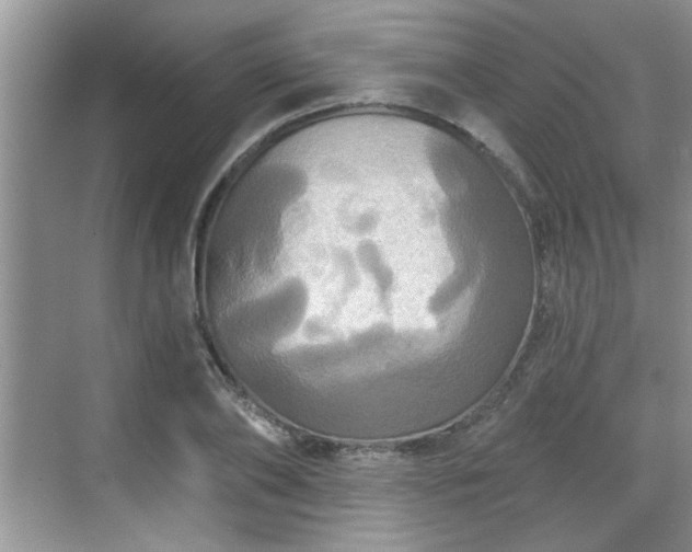 X0000070360886200606121206