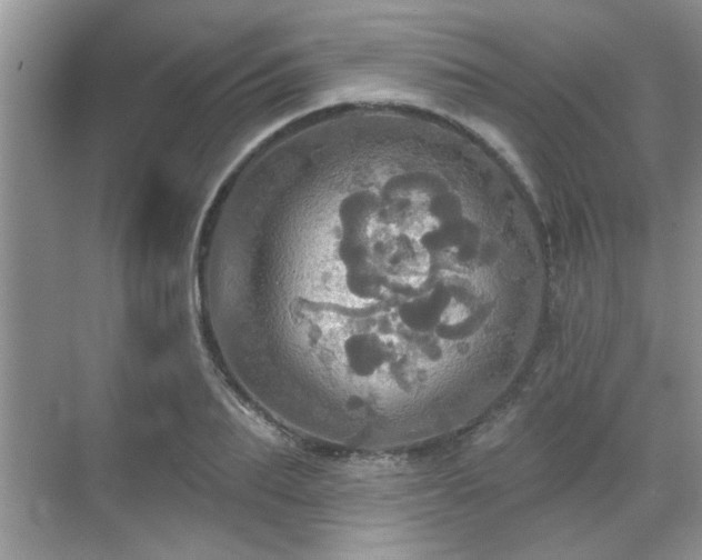 X0000070360887200606121206