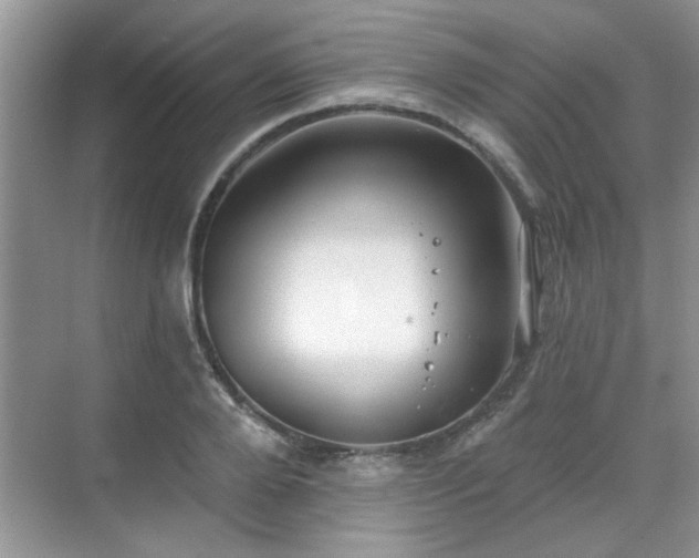 X0000070360888200606121206