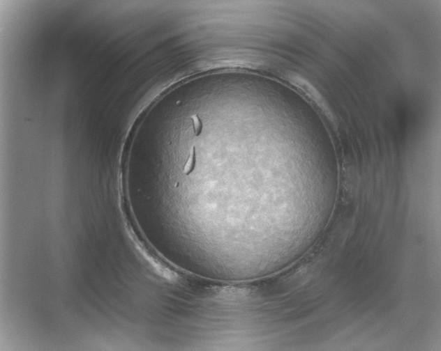 X0000070360890200606121206