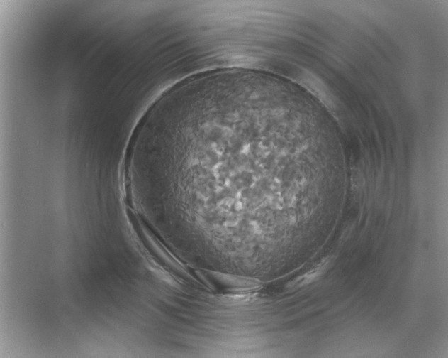 X0000070360891200606121206