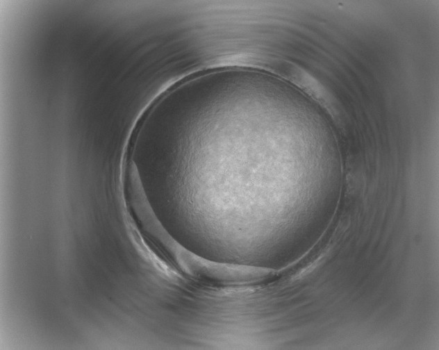 X0000070360892200606121206