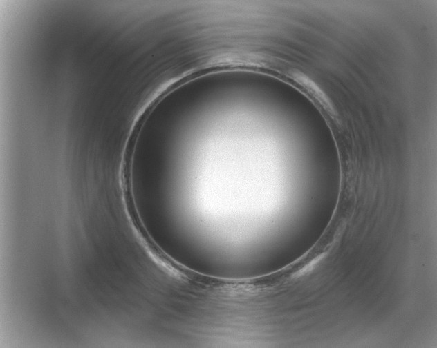 X0000070360893200606121206