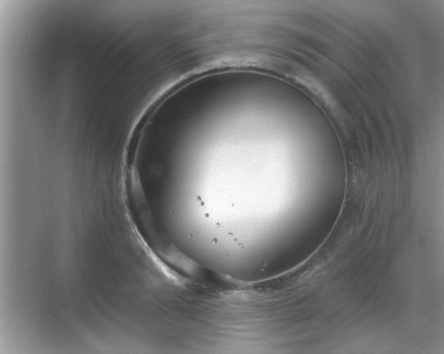 X0000070360894200606121206